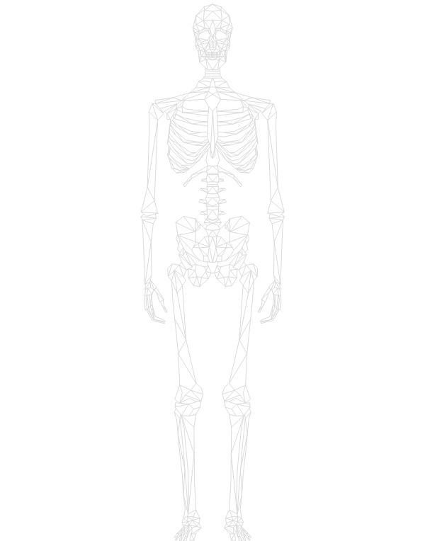 人体